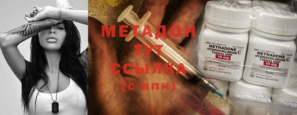 сатива Верея