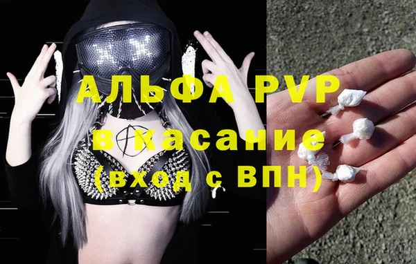 гашик Володарск