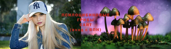 ГАЛЛЮЦИНОГЕННЫЕ ГРИБЫ Верхний Тагил