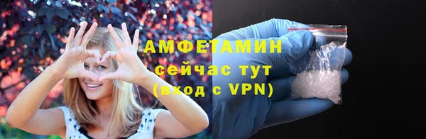 соль ск Волосово