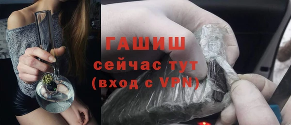 сатива Верея