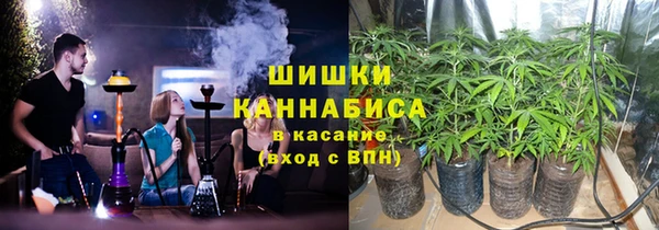 ГАЛЛЮЦИНОГЕННЫЕ ГРИБЫ Верхний Тагил