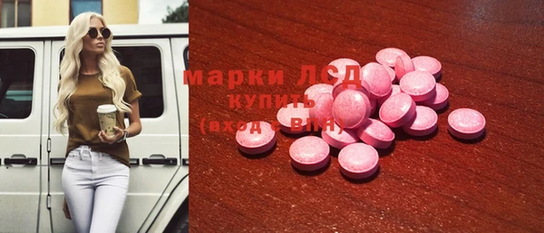 сатива Верея