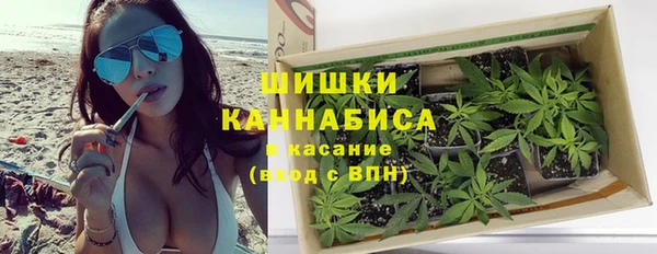 сатива Верея