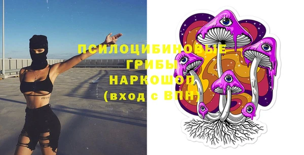 сатива Верея