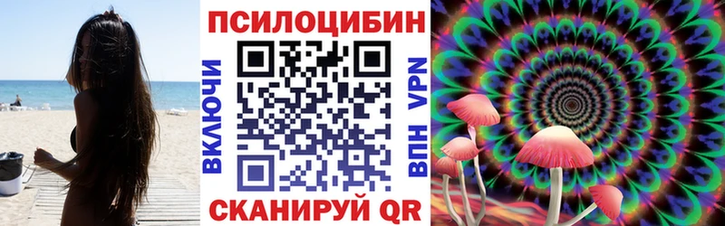 mega ссылки  Карабулак  Галлюциногенные грибы Cubensis 