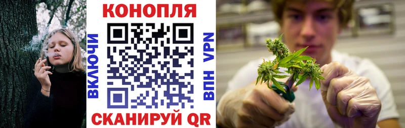 Бошки марихуана SATIVA & INDICA  Карабулак 